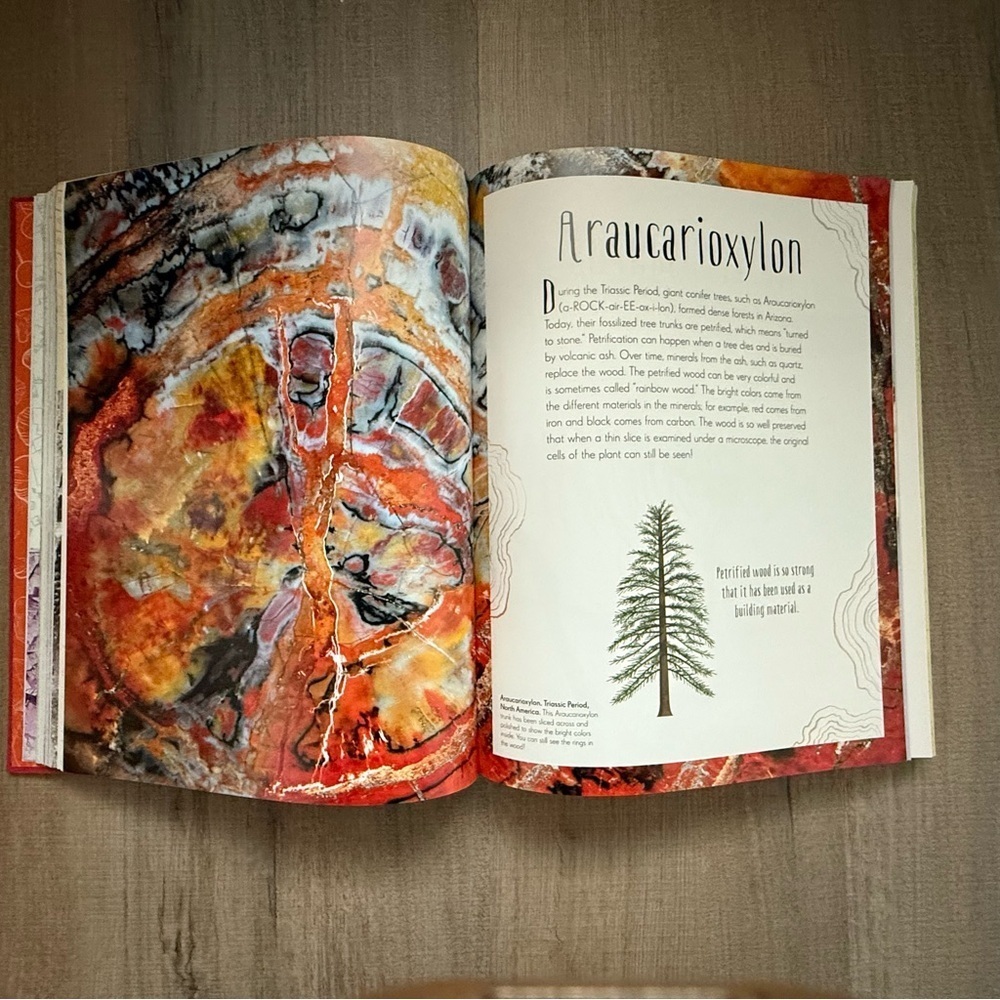 DK Anthology The Emporium of Wonders Bold Red Hardcover Children’s Book - Picture 4 of 9